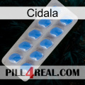 Cidala 22